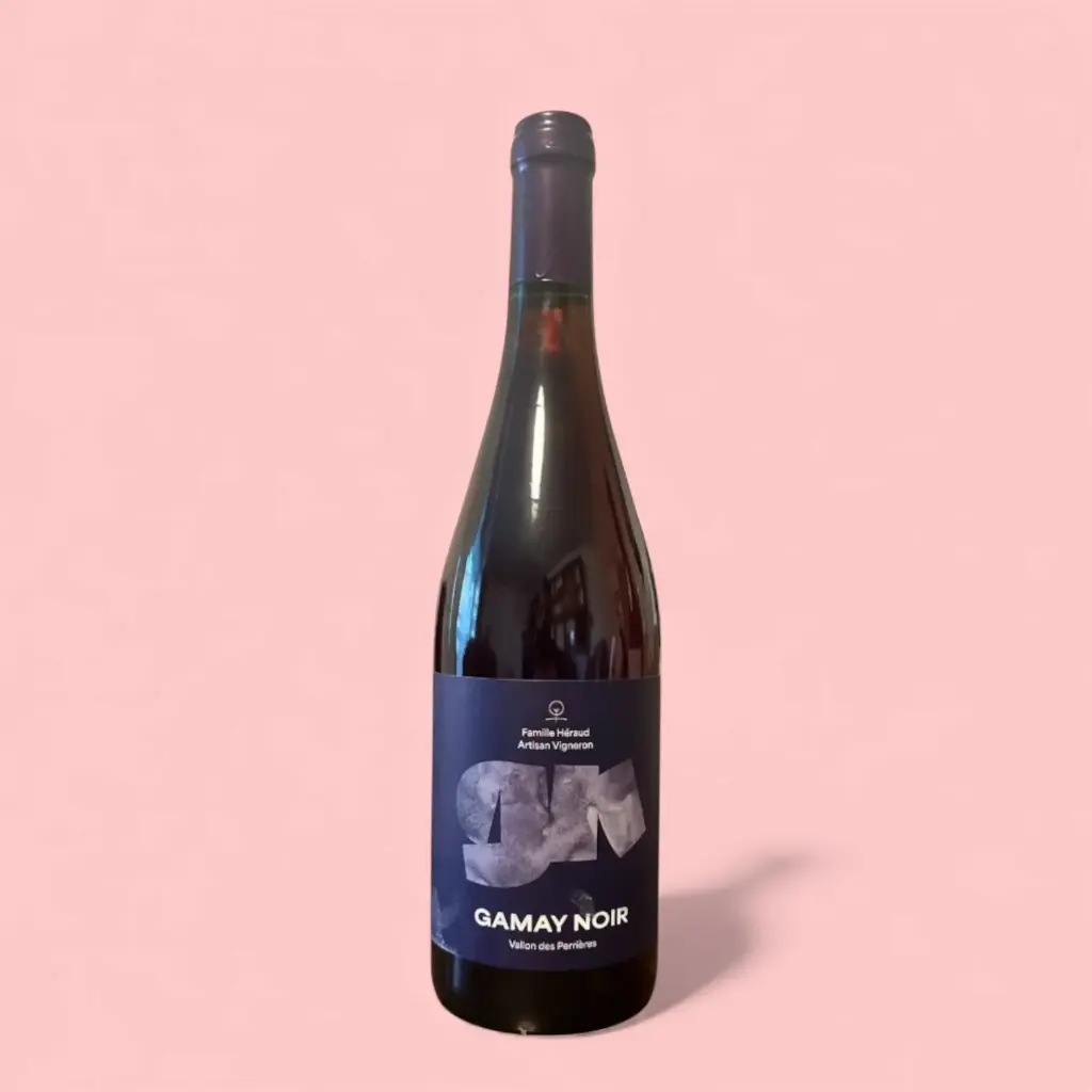 Gamay Noir 2025