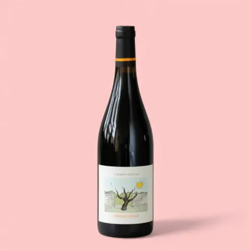 Champs Pentus Rouge 2024