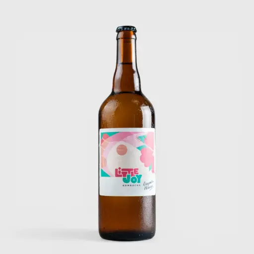 Kombucha Gingembre Hibiscus 75cl